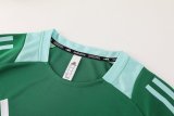2024 AD Green Training Short Suit