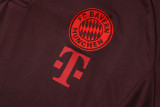 24-25 Bayern High Quality Polo Tracksuit