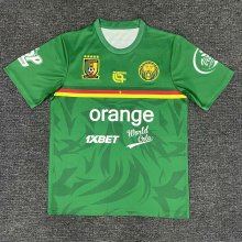 25-26 Cameroon Green Training shirts