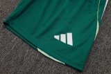 2025 AD Player Version Training Short Suit —Green 绿色