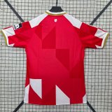 25-26 Mainz Special Edition Fans Soccer Jersey