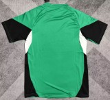 25-26 LIV Green Fans Training shirts