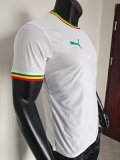 25-26 Senegal White Special Edition Player Version Soccer Jersey