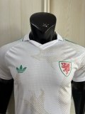 2026 Wales Away Player Version Soccer Jersey