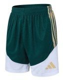 2026 AD Green High Quality Player Version Training Short Suit (球员套装)