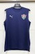 26-27 Fluminense Blue Vest