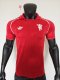 26-27 Man Utd Red Special Edition Player Version Training shirts