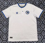 2026 Bosnia And Herzegovina Fans Soccer Jersey