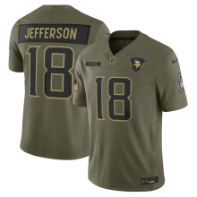 2026 NFL Minnesota Vikings New Pattern Jersey
