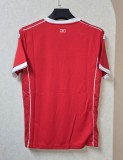 25-26 Tunisia Home Fans Soccer Jersey