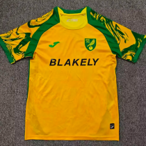 26-27 Norwich City Home Fans Soccer Jersey 26-27 Norwich City Home Fans Soccer Jersey